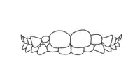 Decorative banner with two circles and leaf flourishes on sides, orthodontic design element.