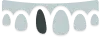 Series of tooth shapes in gray and white tones, displaying various orthodontic tooth forms.